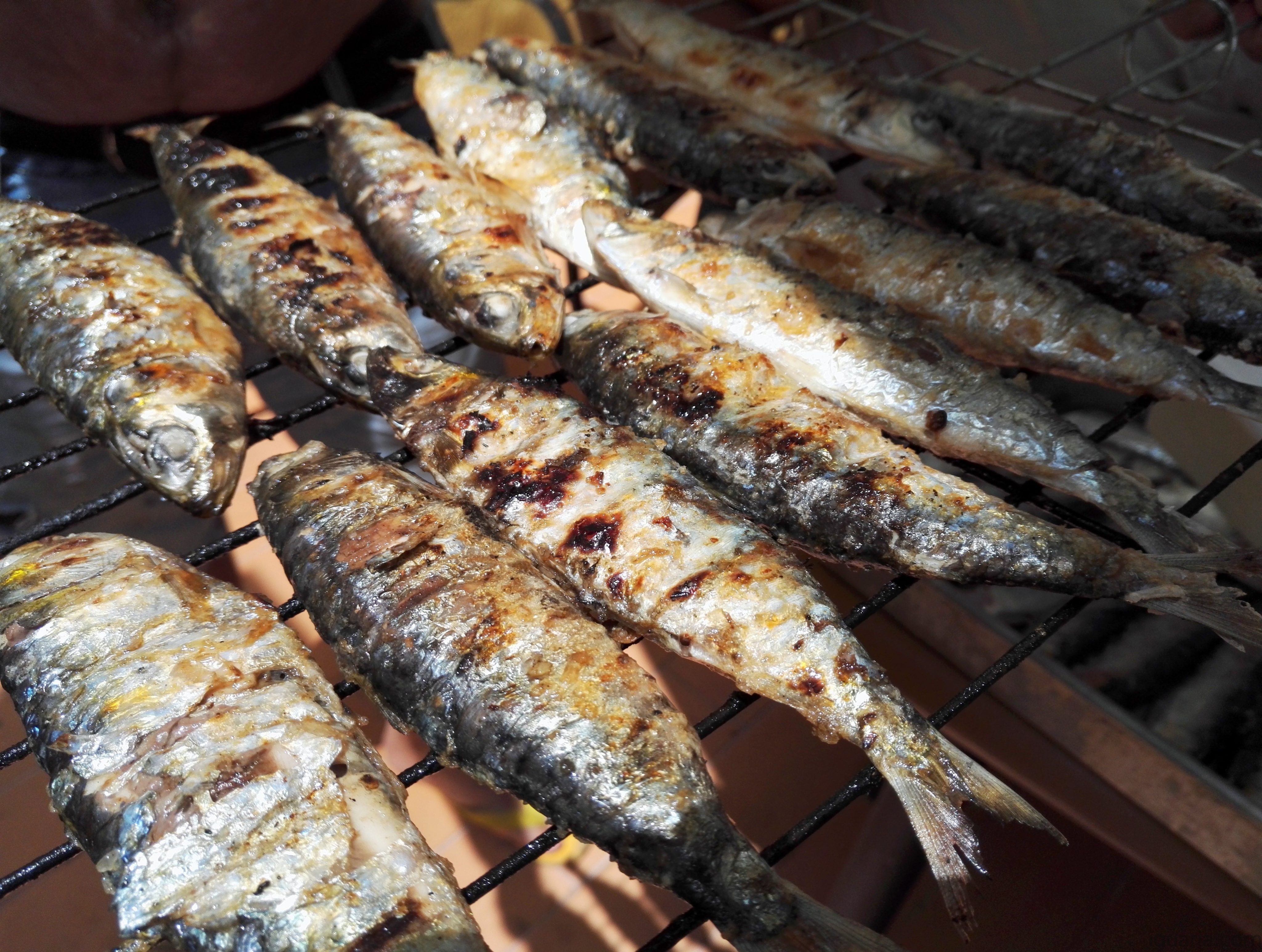 Sardinhas Assadas à Portuguesa Iguaria Receita e Culinária