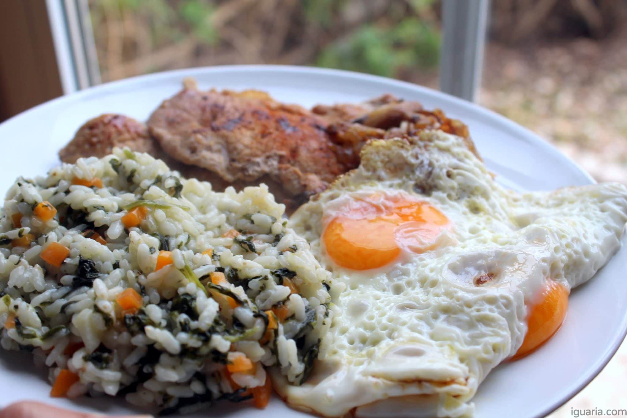 Bifana Refogado De Cogumelos E Arroz De Espinafres Iguaria