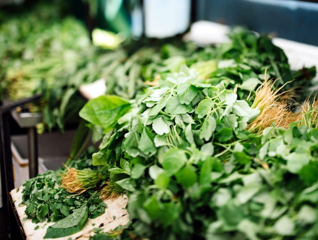 O que é Cheiro Verde Iguaria Receita e Culinária