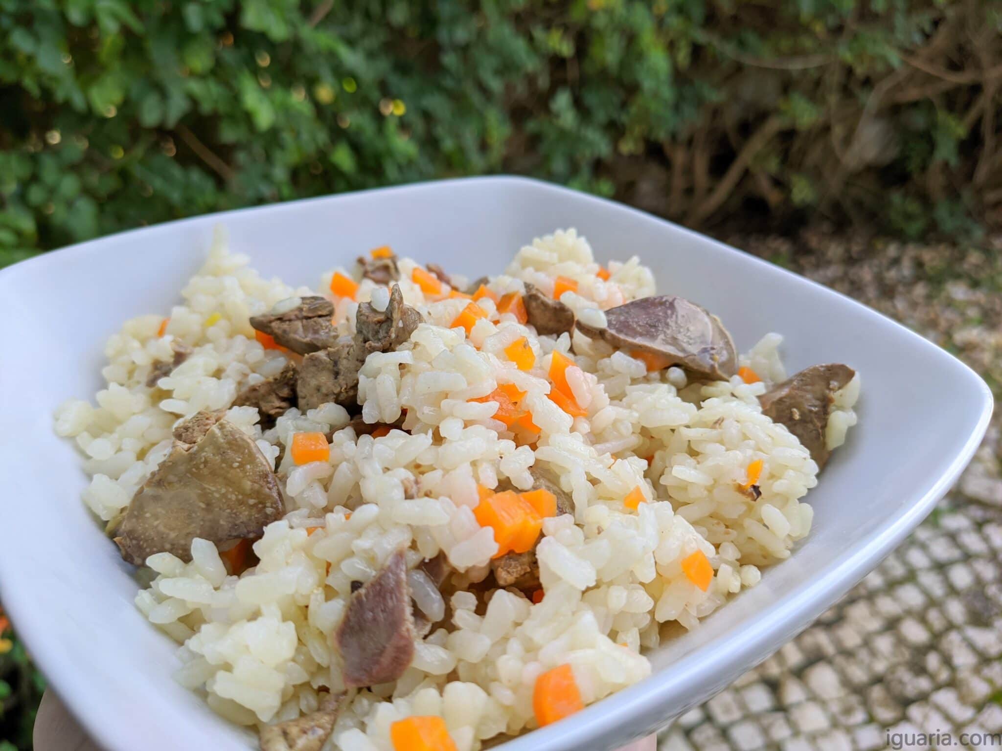 Arroz De Miúdos De Frango • Iguaria Receita E Culinária 5434