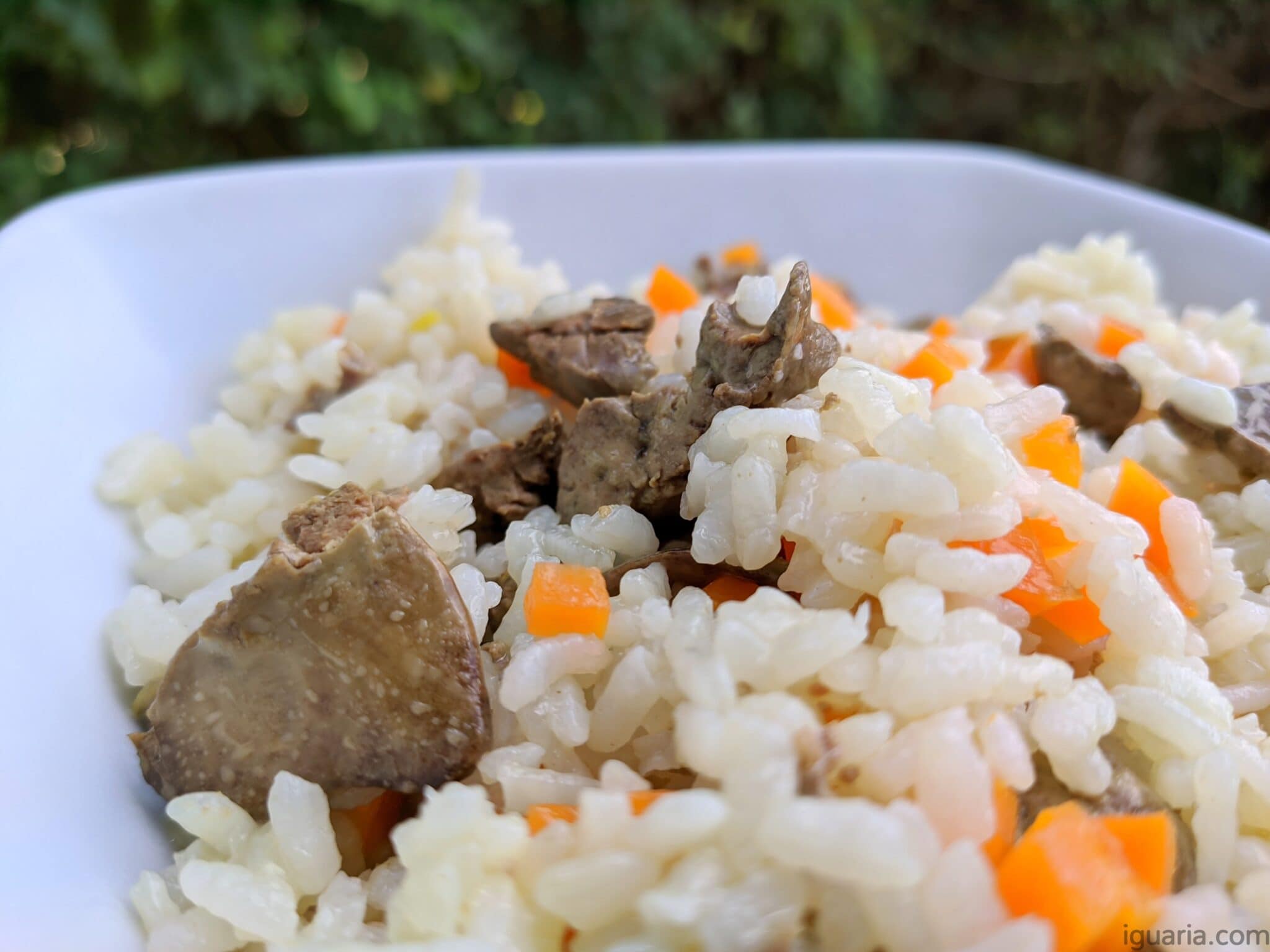 Arroz De Miúdos De Frango • Iguaria Receita E Culinária